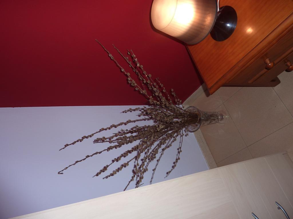 Apartamento El Molino Castejón de Sos Exterior foto